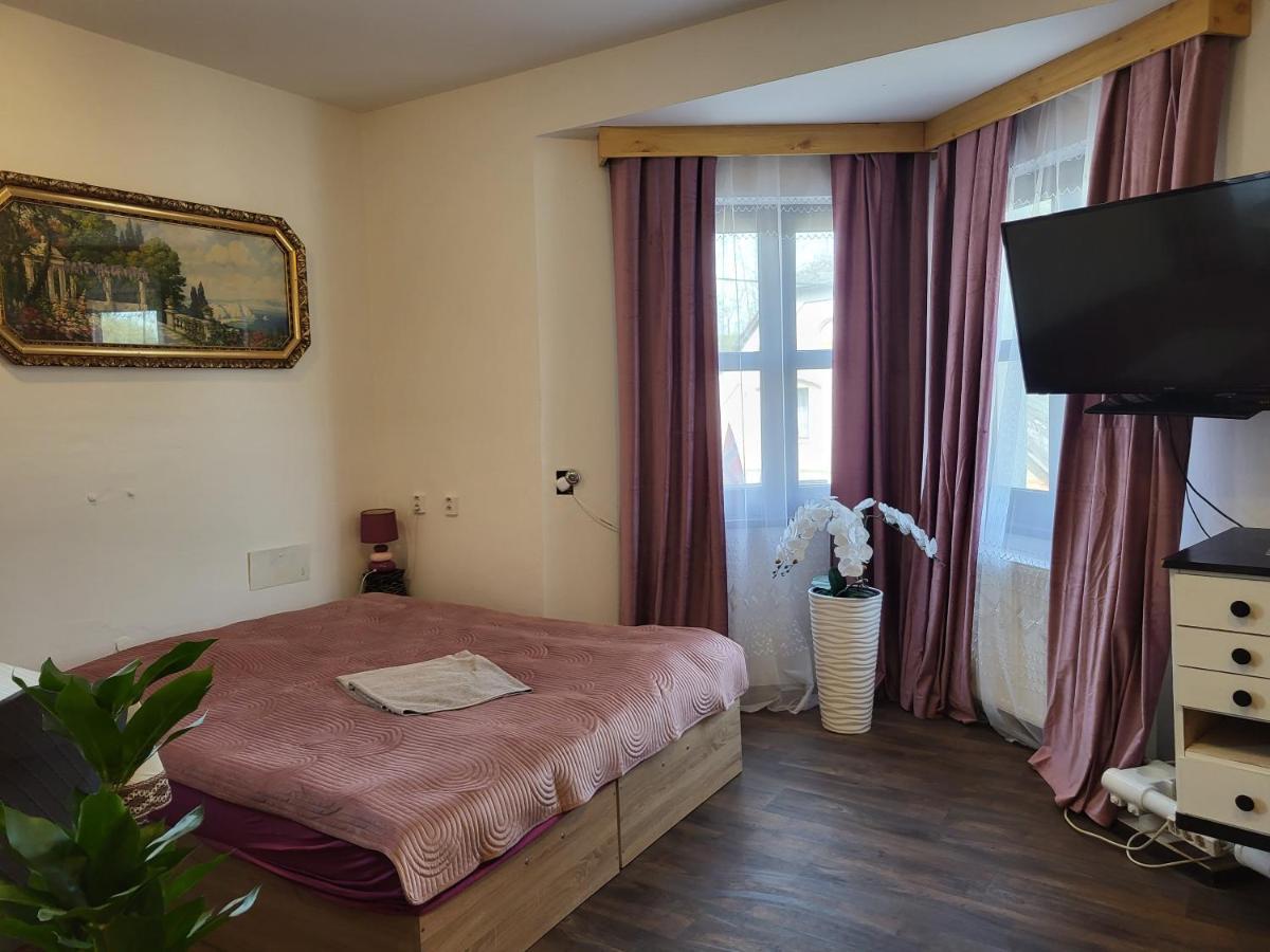 Pension Doctor Dvur Kralove nad Labem Phòng bức ảnh