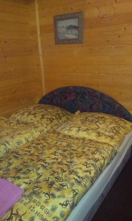 Pension Doctor Dvur Kralove nad Labem Phòng bức ảnh
