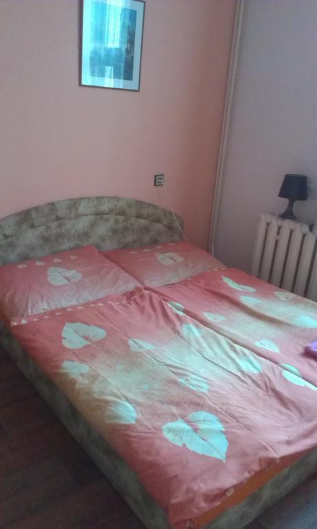 Pension Doctor Dvur Kralove nad Labem Phòng bức ảnh